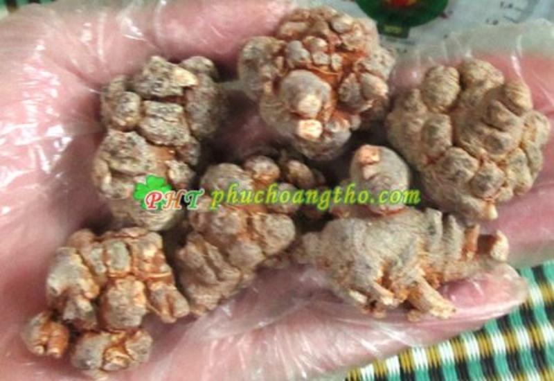Hình ảnh minh họa cách phân biệt bột tam thất và mật ong thật giả để chọn nguyên liệu chất lượng